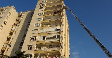 12'nci kattan 11'inci kata düşen kedinin kurtarılmasını film izler gibi izlediler