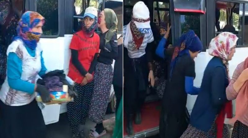 14 kişilik minibüsten 33 kişi çıktı