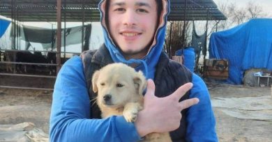 17 yaşındaki genç trafik kazasında hayatını kaybetti