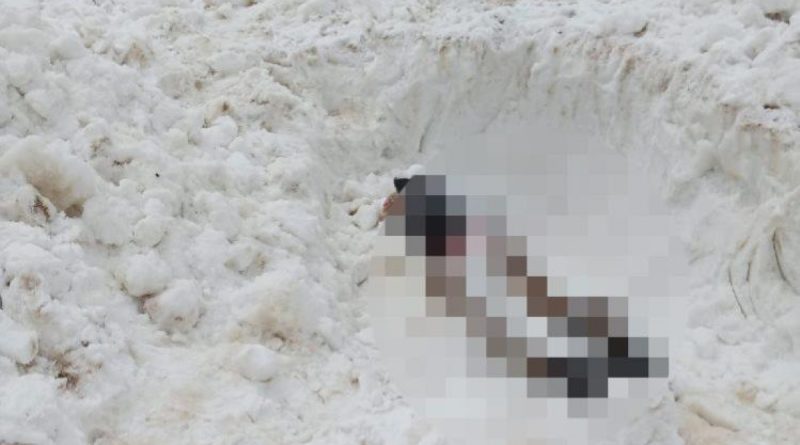 5 ay önce çığ altında kalan 3 İranlının cesedi bulundu