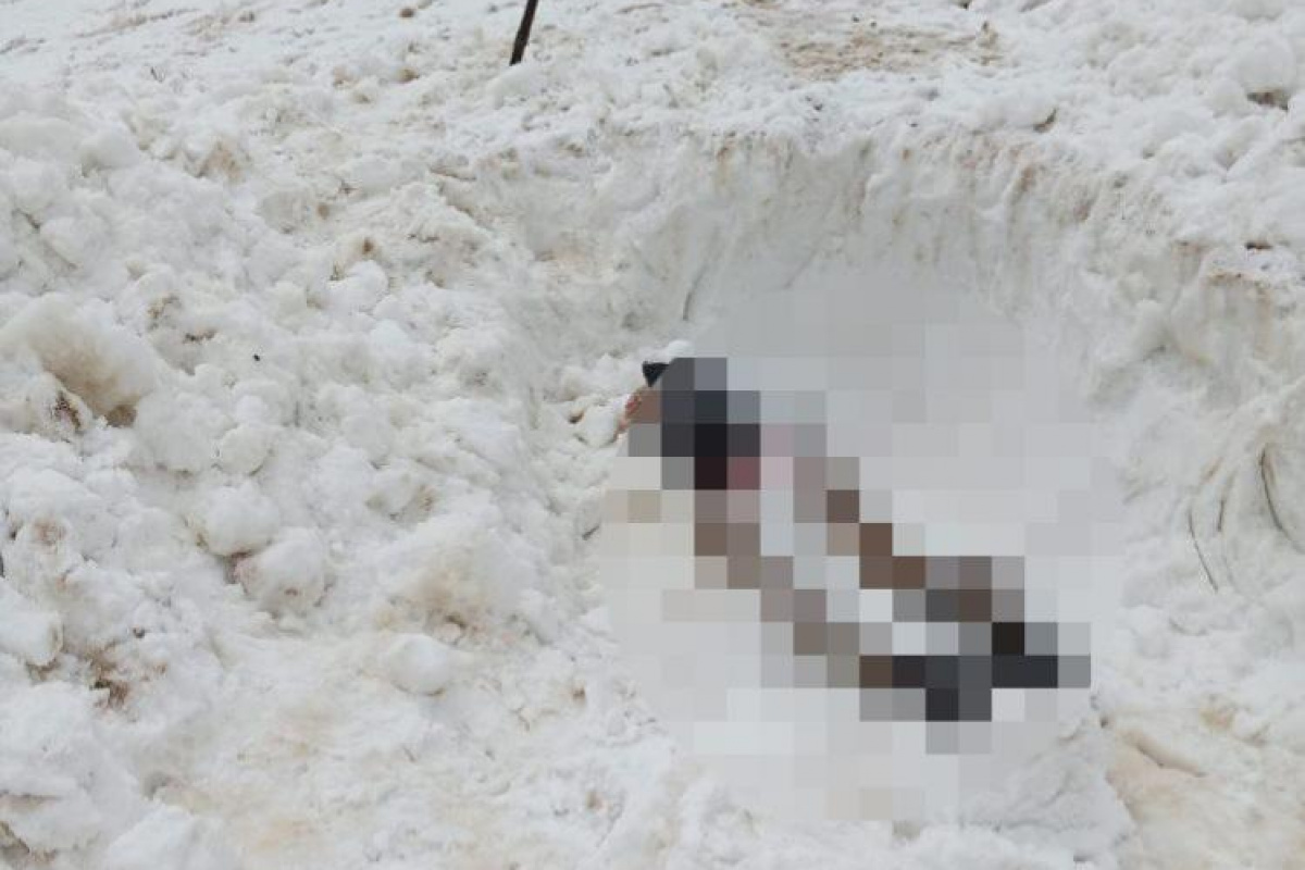 5 ay önce çığ altında kalan 3 İranlının cesedi bulundu