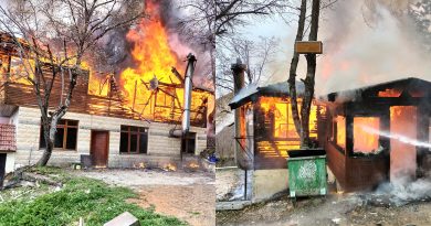 Abant Tabiat Parkı’da yanan ev küle döndü