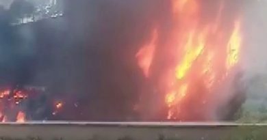 Adıyaman’da yapay şelale alev alev yandı