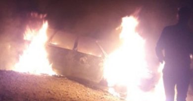 Ağaca çarpan otomobil, cayır cayır yandı