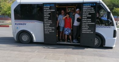 Ağzına kadar turist dolu minibüs polise yakalandı, araç 15 gün trafikten men edildi