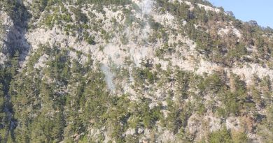 Alanya’da orman yangını