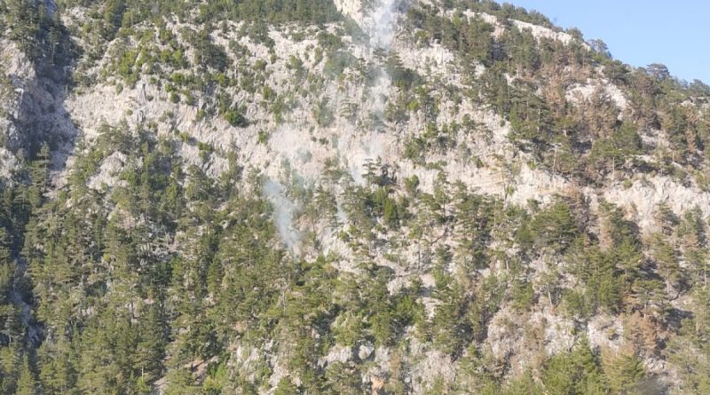 Alanya’da orman yangını