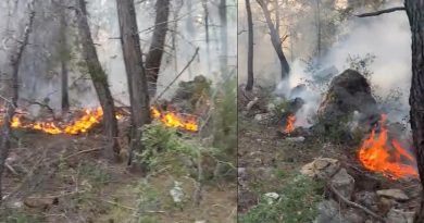 Alanya’da orman yangınında 5 dönüm alan zarar gördü