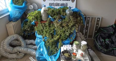 Ankara’da evinin balkonunda esrar yetiştiren şüpheli gözaltına alındı