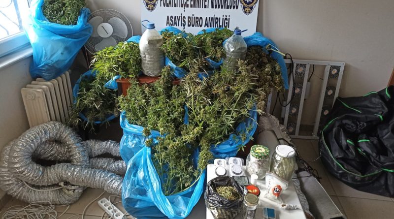 Ankara’da evinin balkonunda esrar yetiştiren şüpheli gözaltına alındı