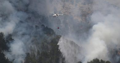 Antalya'da dün başlayan yangın bugün kontrol altına alındı