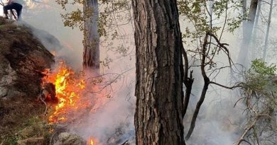 Antalya'da orman yangını büyümeden söndürüldü