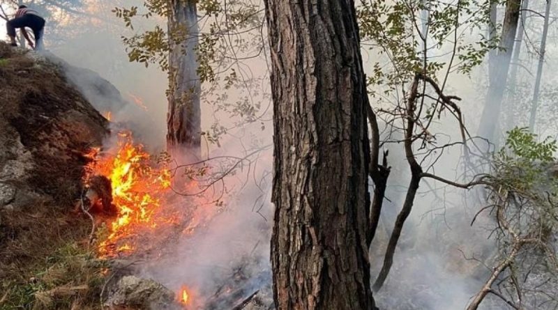 Antalya'da orman yangını büyümeden söndürüldü