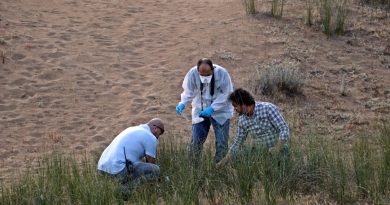 Antalya'da ormanlık alanda erkek cesedi bulundu