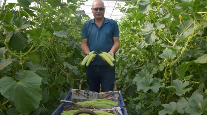 Antalya'da üretilip kilosu 30 TL’den Almanya’ya gidiyor