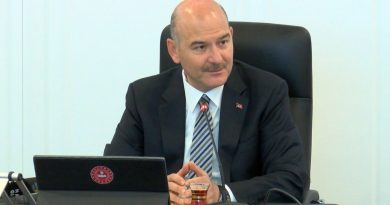 Bakan Soylu açıkladı: Yeni ehliyetlerde 'TOGG' detayı