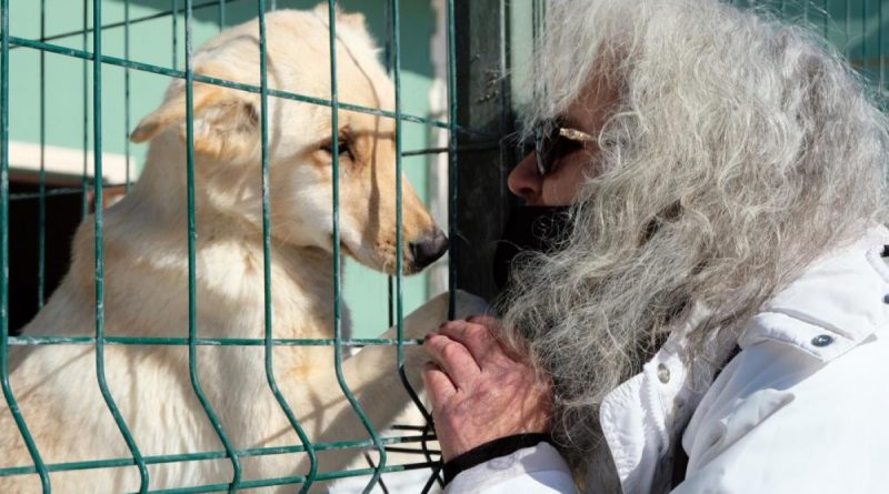 Barınaktaki yavru köpeklerin bakımsızlıktan öldüğü iddiası tepkilere neden oldu