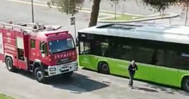 Belediye otobüsünde yılan paniği