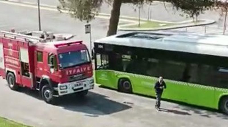 Belediye otobüsünde yılan paniği