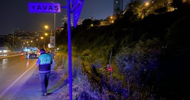 Beşiktaş’ta lüks araç şarampole uçtu: 2 yaralı