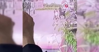 Beylikdüzü’nde 3 dakika içinde gösterge paneli hırsızlığı kamerada