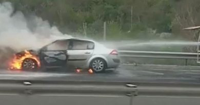 Bilecik'te seyir halindeki araç alev alev yandı