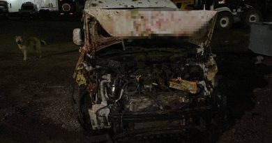 Bingöl’de hafif ticari araç sürüye çarptı: 6 kişi yaralandı, 50 koyun telef oldu