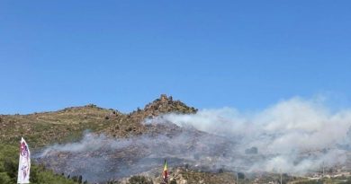 Bodrum’da otluk ve makilik alanda yangın