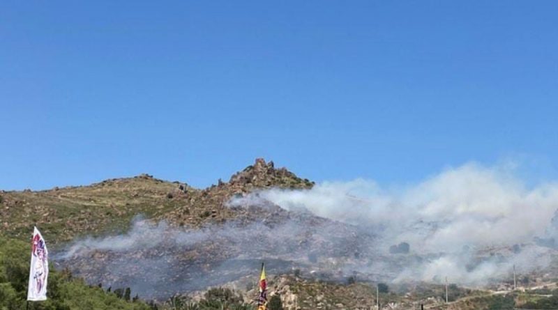 Bodrum’da otluk ve makilik alanda yangın