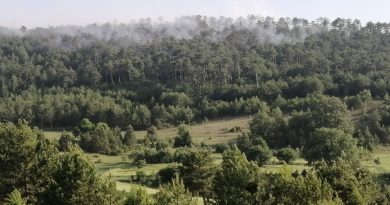 Bolu’daki orman yangını kontrol altına alındı