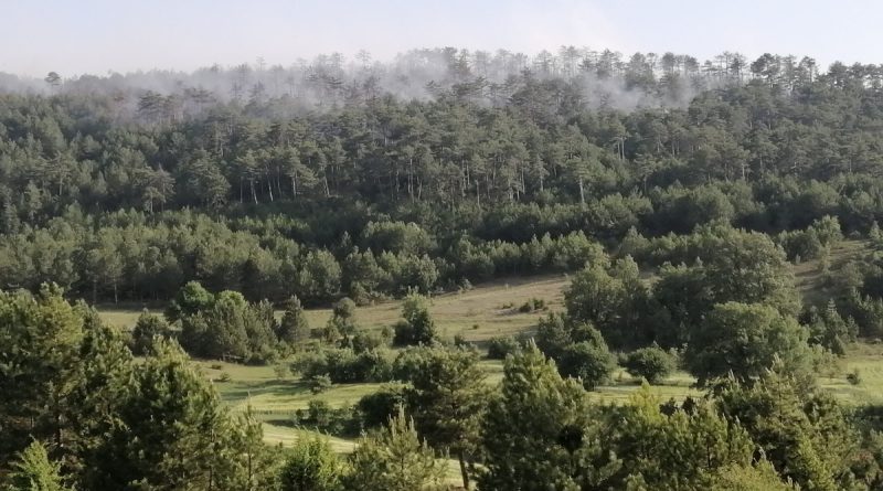 Bolu’daki orman yangını kontrol altına alındı