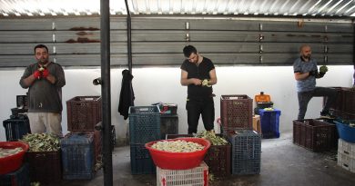 Bu iş için özel ekip kurdular, kişi başı aylık 30 bin TL kazanıyorlar