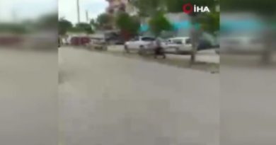 Ceyhan’da köpeklerden kaçarken düşerek ağır yaralanan şahıs hayatını kaybetti