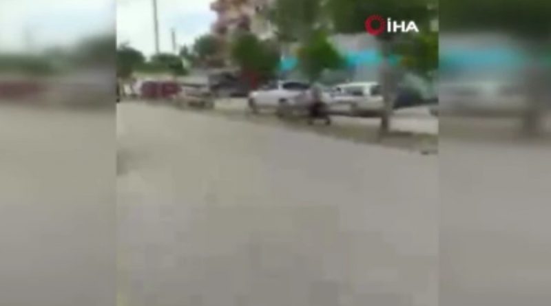 Ceyhan’da köpeklerden kaçarken düşerek ağır yaralanan şahıs hayatını kaybetti