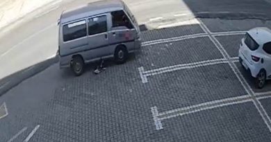 Dikkatsiz sürücü köpeği ezdi, yoluna devam etti