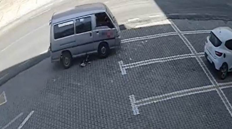Dikkatsiz sürücü köpeği ezdi, yoluna devam etti