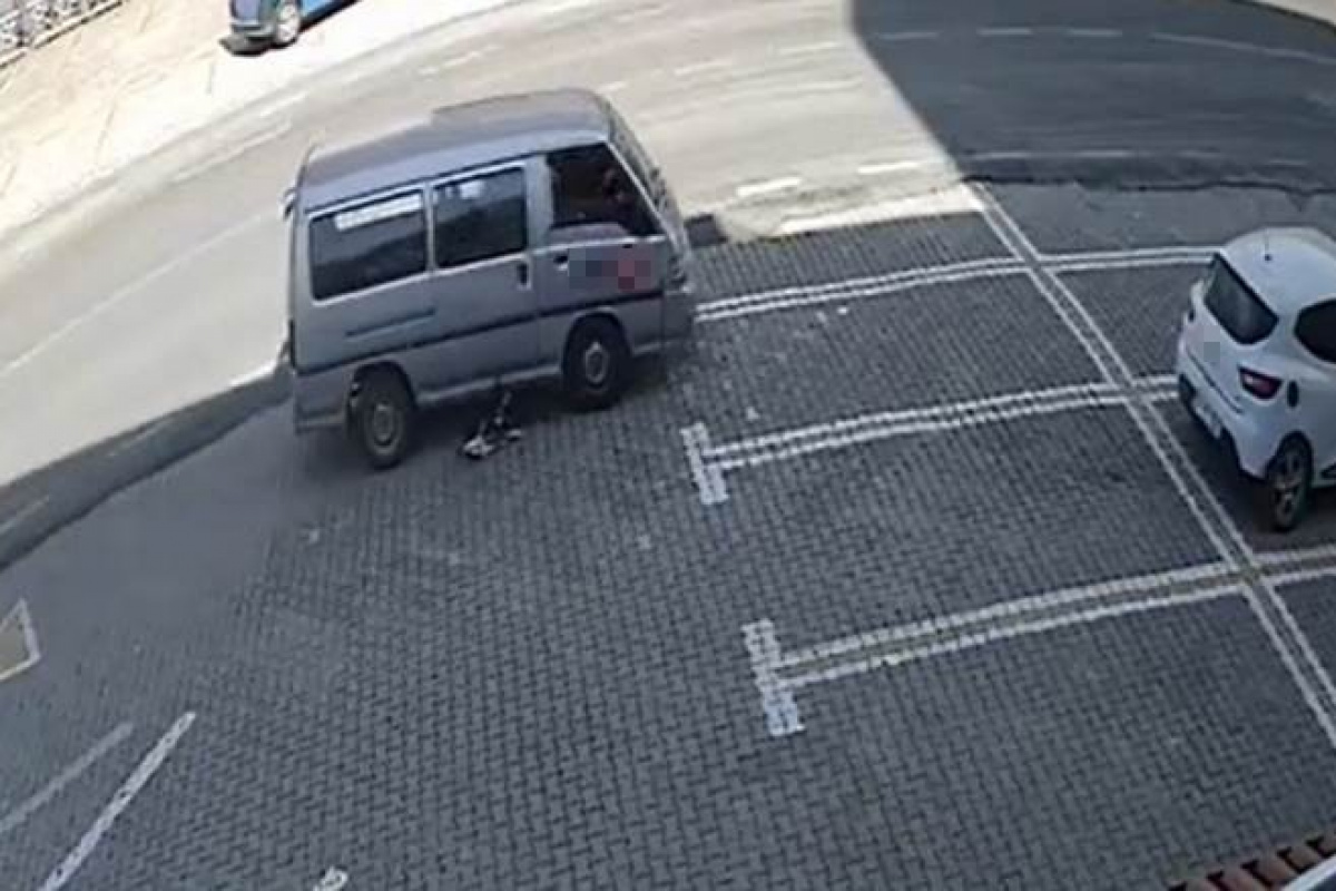 Dikkatsiz sürücü köpeği ezdi, yoluna devam etti