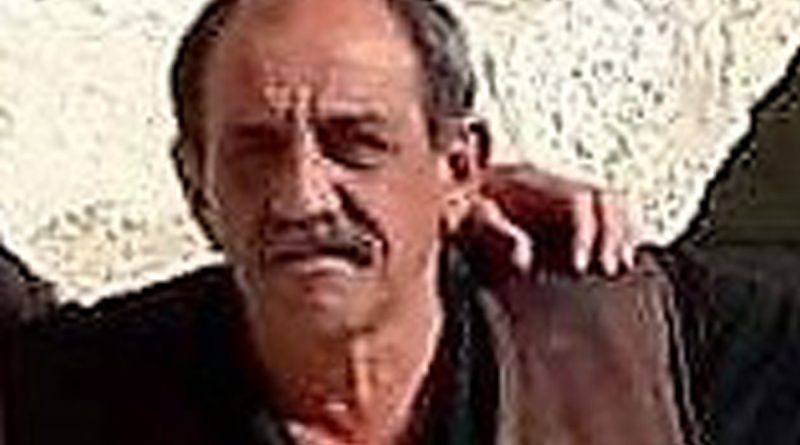 Direksiyon başında kalp krizi geçiren şoför kurtarılamadı