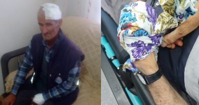 Diyarbakır’da sokak köpekleri yaşlı adama saldırdı