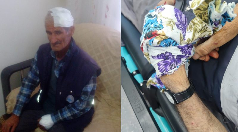 Diyarbakır’da sokak köpekleri yaşlı adama saldırdı