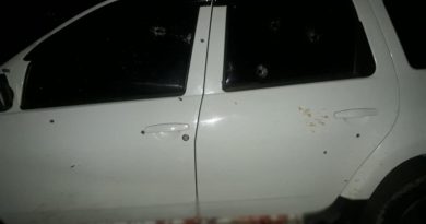 Diyarbakır'da vahşet: Anne ve kızı katledildi, 3 kişi öldü, 2 kişi yaralandı