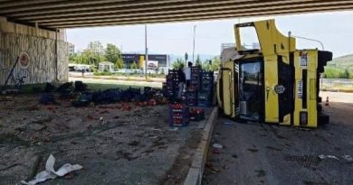 Elazığ'da sebze yüklü kamyon devrildi: 3 yaralı
