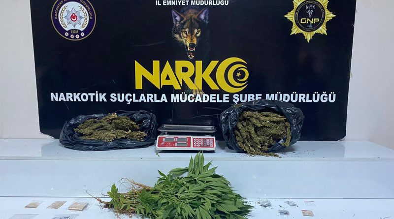 Gaziantep'te 3 kilo esrar ile 41 kök kenevir ele geçirildi