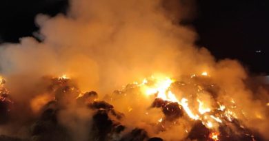 Hayvancılık tesislerinde meydana gelen yangında alevler geceyi aydınlattı