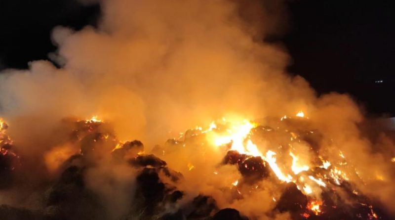 Hayvancılık tesislerinde meydana gelen yangında alevler geceyi aydınlattı