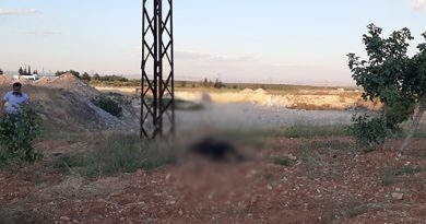 Hırsızlık zanlısının feci sonu