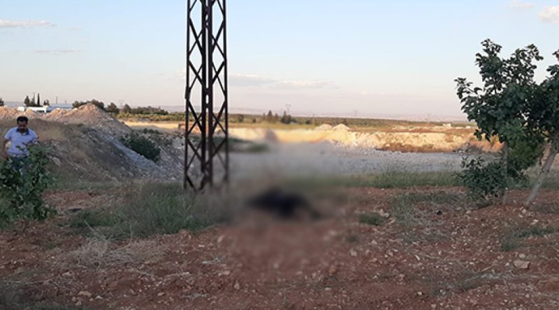 Hırsızlık zanlısının feci sonu