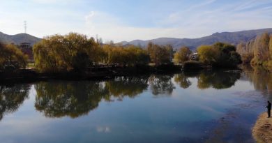 Irmaktan tutulan balığı tüketen aynı aileden 9 kişi zehirlendi