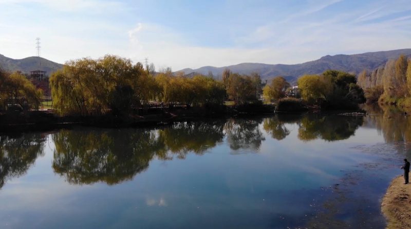 Irmaktan tutulan balığı tüketen aynı aileden 9 kişi zehirlendi