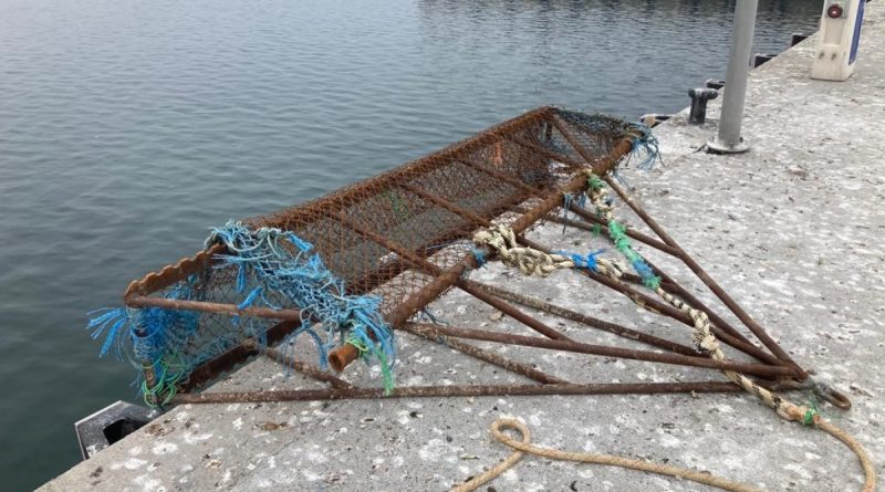 İstanbul Boğazı’nda yasa dışı midye avcıları suçüstü yakalandı